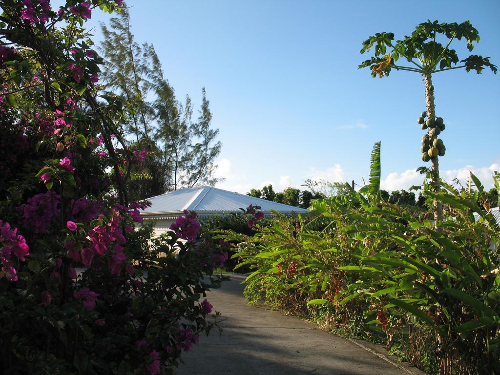 Le Moulin De La Baie Piscine Vue Mer Льо Мул Екстериор снимка
